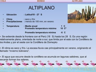 CHILE                                BIOMAS                           ALTIPLANO



                            ALTIPLANO
  •     Ubicación       : Latitud18 - 27 S

  •     Clima           : seco y frío
  •     Precipitaciones : menos de 100 mm, en verano
  •
  •     Temperatura     : Media anual                      1 C
  •                       Promedio temperatura máxima      10 Cº
                         Promedio temperatura mínima       -6 C
•. Se extiende desde la frontera con el Perú (18 S) hasta los 28 S. Es una región
relativamente plana, orientada de norte a sur, que limita por el este con la Cordillera de
los Andes y por el oeste con la Cordillera de Domeyko

•. El clima es seco y frío. La escasa lluvia cae principalmente en verano, originando el
llamado “invierno boliviano”.

•. El agua que escurre desde la cordillera se acumula en lagunas salobres, que al
secarse forman los salares.
 