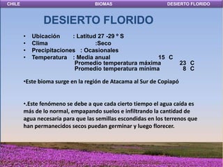 CHILE                              BIOMAS                      DESIERTO FLORIDO



               DESIERTO FLORIDO
        •   Ubicación     : Latitud 27 -29 º S
        •   Clima                  :Seco
        •   Precipitaciones : Ocasionales
        •   Temperatura : Media anual                 15 C
                           Promedio temperatura máxima                23 C
                           Promedio temperatura mínima                 8 C

        •Este bioma surge en la región de Atacama al Sur de Copiapó


        •.Este fenómeno se debe a que cada cierto tiempo el agua caída es
        más de lo normal, empapando suelos e infiltrando la cantidad de
        agua necesaria para que las semillas escondidas en los terrenos que
        han permanecidos secos puedan germinar y luego florecer.
 
