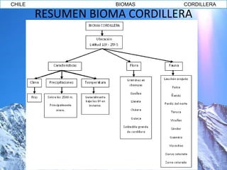 CHILE               BIOMAS    CORDILLERA

        RESUMEN BIOMA CORDILLERA
 