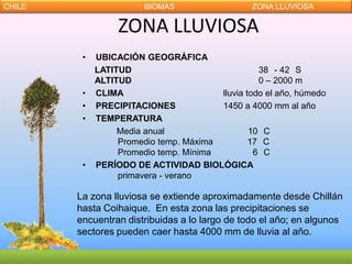 CHILE                   BIOMAS                   ZONA LLUVIOSA

                  ZONA LLUVIOSA
         •   UBICACIÓN GEOGRÁFICA
             LATITUD                              38 - 42 S
             ALTITUD                              0 – 2000 m
         •   CLIMA                      lluvia todo el año, húmedo
         •   PRECIPITACIONES            1450 a 4000 mm al año
         •   TEMPERATURA
                  Media anual                   10 C
                  Promedio temp. Máxima         17 C
                  Promedio temp. Mínima          6 C
         •   PERÍODO DE ACTIVIDAD BIOLÓGICA
                  primavera - verano

        La zona lluviosa se extiende aproximadamente desde Chillán
        hasta Coihaique. En esta zona las precipitaciones se
        encuentran distribuidas a lo largo de todo el año; en algunos
        sectores pueden caer hasta 4000 mm de lluvia al año.
 