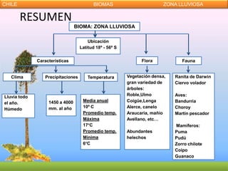 CHILE                                     BIOMAS                         ZONA LLUVIOSA

        RESUMEN
                                 BIOMA: ZONA LLUVIOSA

                                       Ubicación
                                   Latitud 18º - 56º S


              Características                                  Flora            Fauna


   Clima         Precipitaciones       Temperatura       Vegetación densa,   Ranita de Darwin
                                                         gran variedad de    Ciervo volador
                                                         árboles:
Lluvia todo                                              Roble,Ulmo          Aves:
                   1450 a 4000      Media anual          Coigüe,Lenga        Bandurria
el año.
                   mm. al año       10º C                Alerce, canelo      Choroy
Húmedo
                                    Promedio temp.       Araucaria, mañío    Martín pescador
                                    Máxima               Avellano, etc…
                                    17°C                                     Mamíferos:
                                    Promedio temp.       Abundantes          Puma
                                    Mínima               helechos            Pudú
                                    6°C                                      Zorro chilote
                                                                             Coipo
                                                                             Guanaco
 