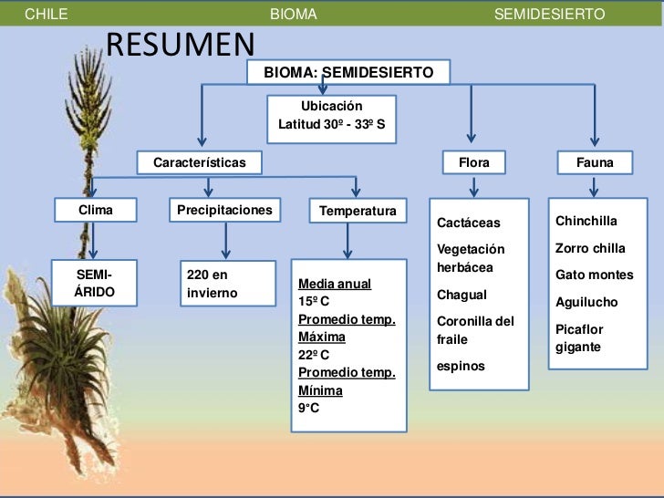 Los Biomas de Chile.