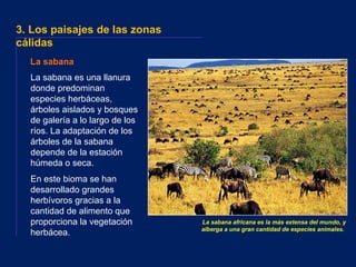 Los Biomas del Mundo | PDF