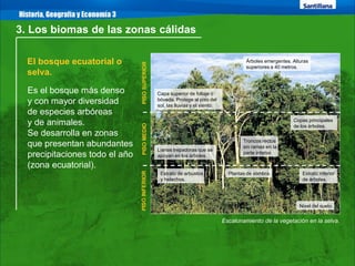 Los Biomas del Mundo | PDF