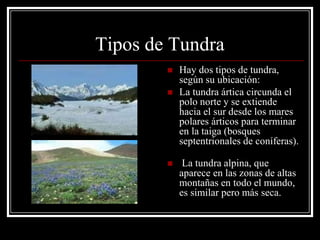 Tipos de Tundra
           Hay dos tipos de tundra,
            según su ubicación:
           La tundra ártica circunda el
            polo norte y se extiende
            hacia el sur desde los mares
            polares árticos para terminar
            en la taiga (bosques
            septentrionales de coníferas).

            La tundra alpina, que
            aparece en las zonas de altas
            montañas en todo el mundo,
            es similar pero más seca.
 