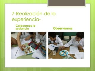 7-Realización de la 
experiencia- 
Colocamos la 
sustancia Observamos 
 