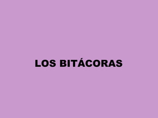 LOS BITÁCORAS 