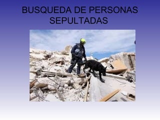 BUSQUEDA DE PERSONAS
SEPULTADAS