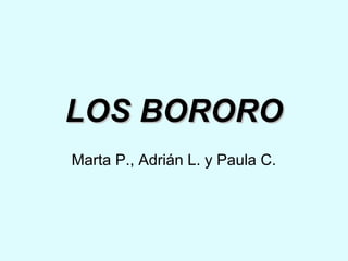 LOS BOROROLOS BORORO
Marta P., Adrián L. y Paula C.
 