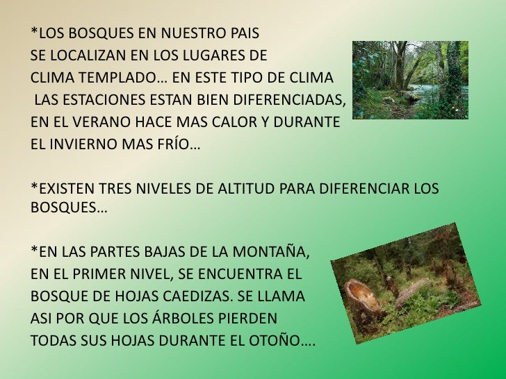 Los bosques