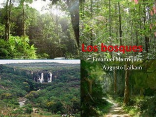 Los bosques Emanuel Manriquez Augusto Laikam 