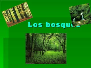 Los bosques 