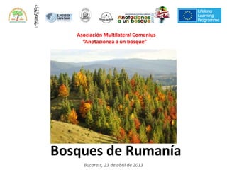 Bosques de Rumanía
Bucarest, 23 de abril de 2013
Asociación Multilateral Comenius
“Anotacionea a un bosque” 2011-2013
 