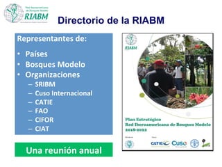 Directorio de la RIABM
Representantes	
  de:	
  	
  
	
  
•  Países	
  
•  Bosques	
  Modelo	
  
•  Organizaciones	
  
–  SRIBM	
  
–  Cuso	
  Internacional	
  
–  CATIE	
  
–  FAO	
  
–  CIFOR	
  
–  CIAT	
  
	
  
	
   Una	
  reunión	
  anual	
  
 