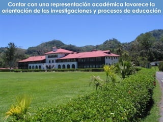 Contar con una representación académica favorece la
orientación de las investigaciones y procesos de educación
 