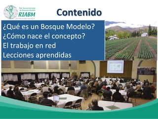  	
  	
  	
  	
  	
  	
  	
  	
  	
  	
  	
  	
  	
  	
  	
  	
  	
  	
  
Contenido
¿Qué	
  es	
  un	
  Bosque	
  Modelo?	
  
¿Cómo	
  nace	
  el	
  concepto?	
  
El	
  trabajo	
  en	
  red	
  
Lecciones	
  aprendidas	
  
 