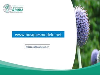 www.bosquesmodelo.net	
  
fcarrera@ca-e.ac.cr	
  
 
