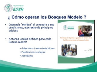¿ Cómo operan los Bosques Modelo ?
•  Cada país “moldea” el concepto a sus
condiciones, manteniendo principios
básicos
•  Actores locales definen para cada
Bosque Modelo
•  Gobernanza	
  /	
  toma	
  de	
  decisiones	
  
•  Planiﬁcación	
  estratégica	
  
•  Ac-vidades	
  
 