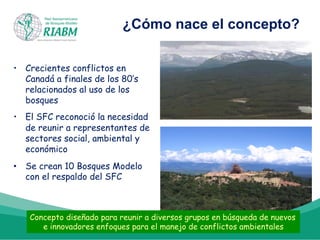 ¿Cómo nace el concepto?
•  Crecientes conflictos en
Canadá a finales de los 80’s
relacionados al uso de los
bosques
•  El SFC reconoció la necesidad
de reunir a representantes de
sectores social, ambiental y
económico
•  Se crean 10 Bosques Modelo
con el respaldo del SFC
Concepto diseñado para reunir a diversos grupos en búsqueda de nuevos
e innovadores enfoques para el manejo de conflictos ambientales
 