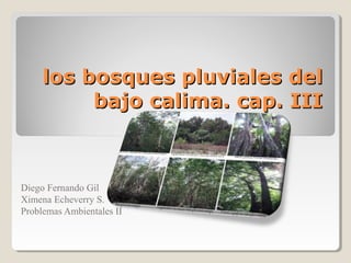 los bosques pluviales dellos bosques pluviales del
bajo calima. cap. IIIbajo calima. cap. III
Diego Fernando Gil
Ximena Echeverry S.
Problemas Ambientales II
 