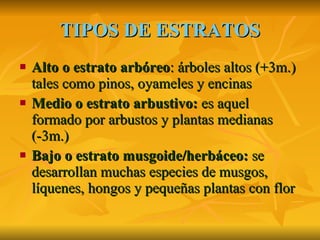 TIPOS DE ESTRATOS Alto o estrato arbóreo : árboles altos (+3m.) tales como pinos, oyameles y encinas  Medio o estrato arbustivo:  es aquel formado por arbustos y plantas medianas  (-3m.) Bajo o estrato musgoide/herbáceo:  se desarrollan muchas especies de musgos, líquenes, hongos y pequeñas plantas con flor 