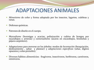 CLASIFICACIÓN DE LOS BOSQUES TROPICALESBosque Lluvioso: zonas bajas (comunidades vegetales diversas) y montanos. Bosque estacional semiperennes: con temporada de estiaje.  Bosque Seco: baja biodiversidad. 