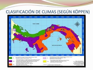 FLUJOS DE MATERIA Y ENERGÍATodo los organismos son esenciales para el ecosistema, sin ellos  podría colapsar 