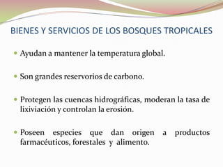 ¿Por qué los Bosques Tropicales sostienen tal enorme variedad de vida?El clima es mucho mas acogedor y es más fácil para que los animales vivan y encuentren sus alimentos.Diversidad de árboles que crecen a diferentes alturas creando variedad de hábitats y favoreciendo que más animales vivan en él.Fuentes alimenticias durante todo el año, provocando que los animales se puedan especializar en un alimento en particular, dejando diferentes recursos a otras especies.   