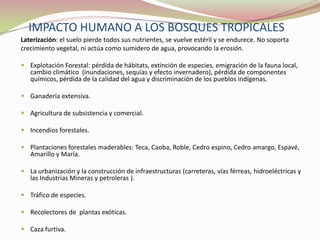 BIODIVERSIDAD DE PANAMÁ