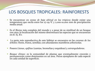 LOS BOSQUES TROPICALES: RAINFORESTSSe encuentran en zonas de baja altitud en los trópicos donde existe una temperatura que oscila entre los 27-29 ºC y 2,000-10,000 mm de precipitación media anual.Es el Bioma más complejo del mundo y a pesar de su similitud de un bosque con otro; la localización del mismo determinará las especies que se encuentran en él. Ej. B.v. La parte más reproductiva de este hábitat se encuentra en las coronas de los árboles: flores, frutos, semillas; con abundantes mamíferos arborícolas.Poseen Lianas, epífitas (zamias, bromelias y orquídeas) y estranguladoras.  Bosque climax: es la comunidad de plantas que eventualmente crecerán y permanecerán como dominantes en un área. Pocos ejemplares de cada especie en cada unidad de superficie. 