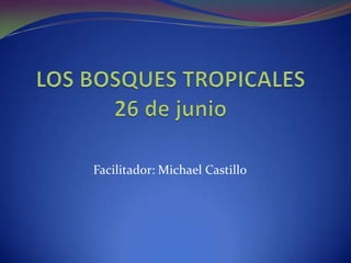 LOS BOSQUES TROPICALES26 de junio Facilitador: Michael Castillo 