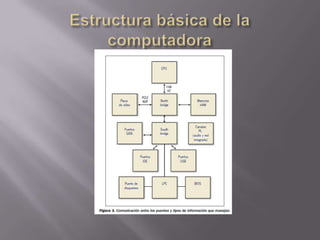 Estructura básica de la computadora 