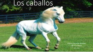 Los caballos
Edwin Eduardo Montes
de oca Reyes
Marzo 2015
 