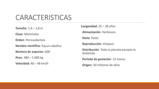 CARACTERISTICAS
Tamaño: 1,4 – 1,8 m
Clase: Mammalia
Orden: Perissodactyla
Nombre científico: Equus caballus
Número de especies: 600
Peso: 380 – 1.000 kg
Velocidad: 40 – 48 km/h
Longevidad: 25 – 30 años
Alimentación: Herbívoro
Dieta: Pasto
Reproducción: Vivípara
Distribución: Todo el planeta excepto la
Antártida
Período de gestación: 12 meses
Origen: 50 millones de años
 