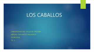 LOS CABALLOS
UNIVERSIDAD DEL VALLE DE ORIZABA
ABIGAIL CERVANTES PALMEROS
29/08/2018
TIC 1
 