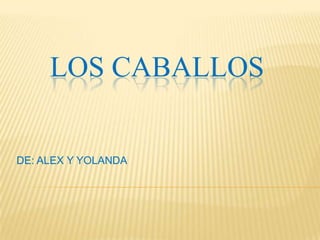 LOS CABALLOS


DE: ALEX Y YOLANDA
 