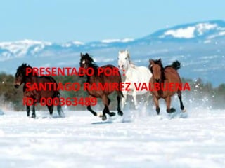 PRESENTADO POR :
SANTIAGO RAMIREZ VALBUENA
ID: 000363489
 