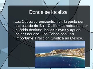 Donde se localiza . Los Cabos se encuentran en la punta sur del estado de Baja California, rodeados por el árido desierto, bellas playas y aguas color turquesa. Los Cabos son una importante atracción turística en México.