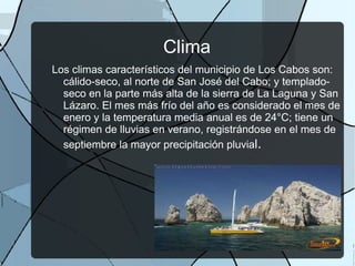 Jaiba, camarón y pescado