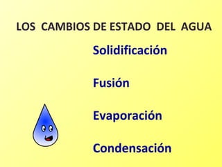 LOS CAMBIOS DE ESTADO DEL AGUA

Solidificación
Fusión
Evaporación
Condensación

 