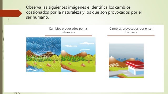 Los cambios en la naturaleza gustavo 1ro