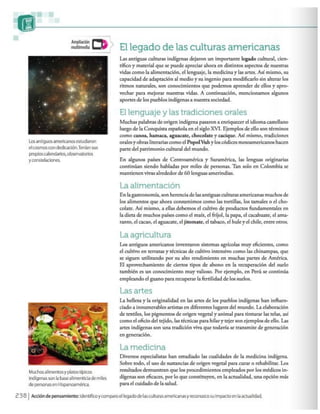 Los caminos del saber 6