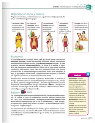 Los caminos del saber 6