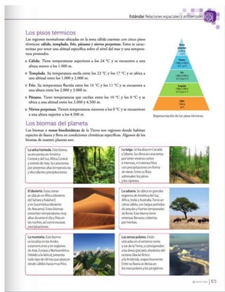 Los caminos del saber 6