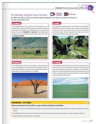 Los caminos del saber 6