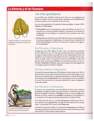 Los caminos del saber 6