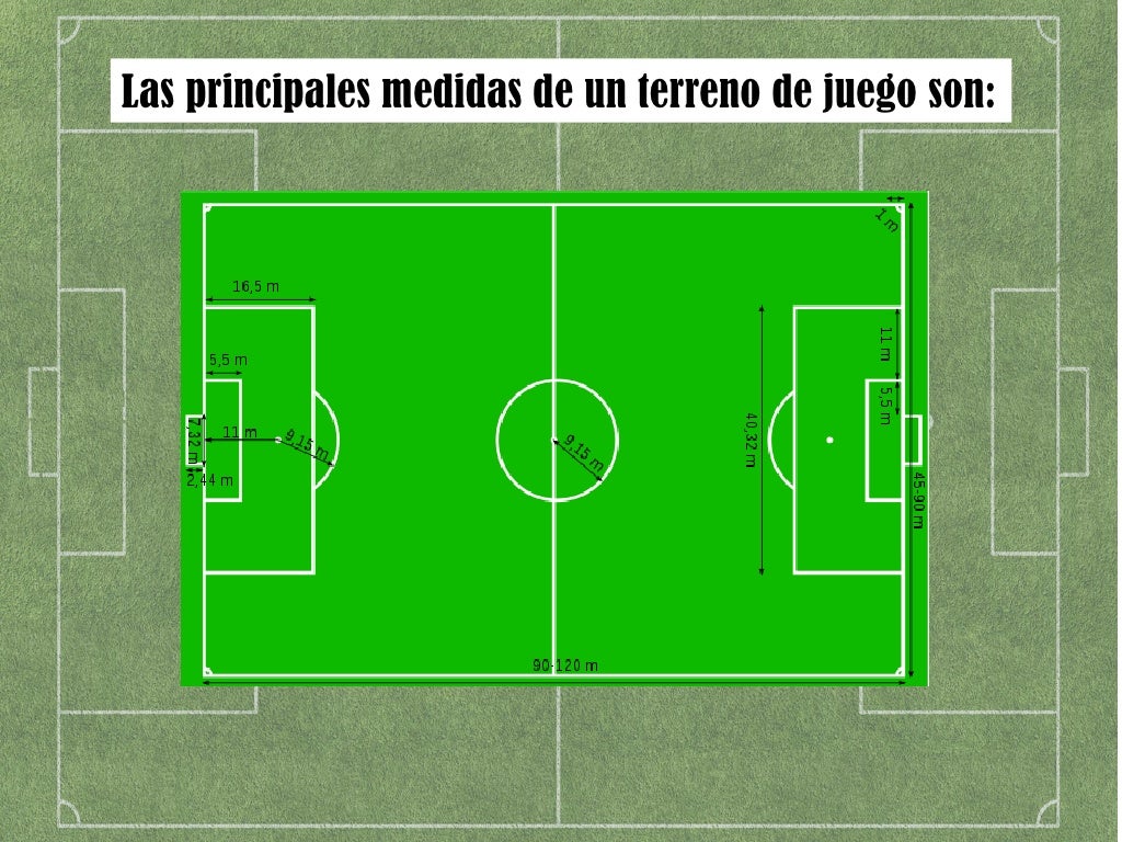 Los campos de fútbol Los campos de fútbol