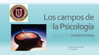Loscamposde
laPsicología
Catedra Psicología
Autor Leynis Armas
CI 12298872
 