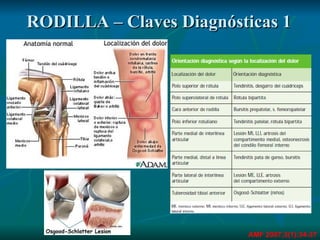 RODILLA – Claves Diagnósticas 1 AMF 2007;3(1):34-37 