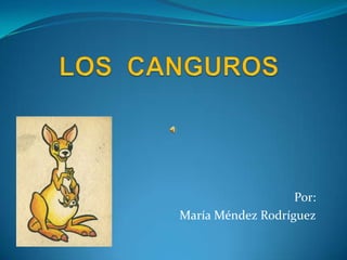 LOS  CANGUROS Por: María Méndez Rodríguez 